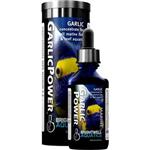 Bwell Garlic Power