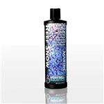Bwell Reef Snow
