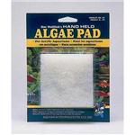 Ap Algae Scraper Pad 