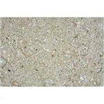 Carib Ocean Direct Natural Live Sand