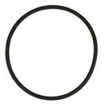 Tlf Phosban Reactor O Ring