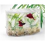 Lees Dual Betta Keeper