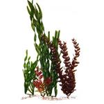Tetra Ww Plant Multi-Pack
