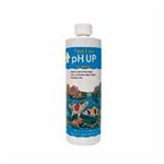 Ap Pond Ph Up 16Oz