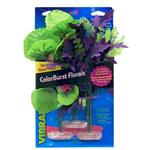 Plant - Amazon & African Clusters