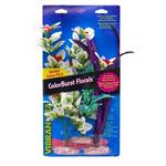 Br Plant Pack Melon Cluster