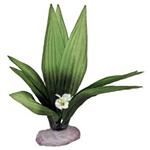 Plant - Flowering Sword Leaf Cluster (Green)