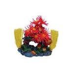 Io Seagdn Coral Red Dictyota