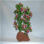 Rocky 2 Color Lava Plant 