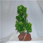 Rocky Air Green Lava 2 Plants