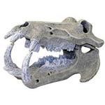 Br Hippo Skull
