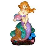 Br Mermaid With Clamshell