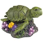 Br Sea Turtle