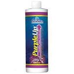 Carib Purple Up Corraline Algae Growth Accelerator