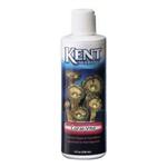 Kent Coral Vite 