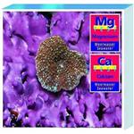 T Marin Test Kit Salt Calcium/Magnesium