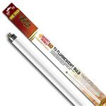 Desert Flo Bulb 12W 20 T5