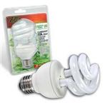 Tropical Coil Bulb Watts