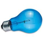 Zoo Daylite Blue Inc Bulb