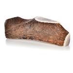 Happy Dog of Cape Cod Sliced Elk Antler