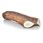 Happy Dog of Cape Cod Whole Elk Antler