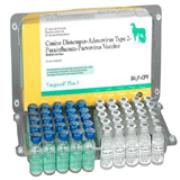 Vanguard Plus 5 Best Price