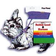 4 Paws Rabbit Safety Harness and Leash Best Price