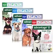 Advantage II for Dogs
