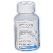 Amoxicillin Oral Suspension Best Price