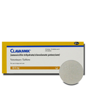 Clavamox Best Price