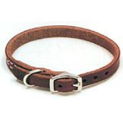 Latigo Leather Collars and Leads Best Price