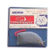 Dr. Daniel's Mouse Best Price