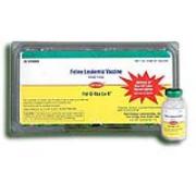 Fel-O-Vax Lv-K Best Price