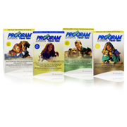 Program Flea Killer for Dogs Best Price