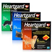 Heartgard Plus for Dogs Best Price