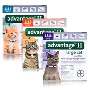 Advantage II for Cats Best Price