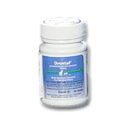 Drontal Feline Best Price