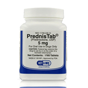 PredNISOLone Best Price