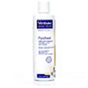 Pyoben Shampoo Best Price