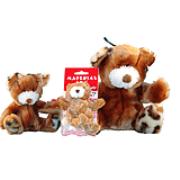 Dr. Noys Teddy Bear Best Price