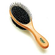 Safari Combo Brush Best Price