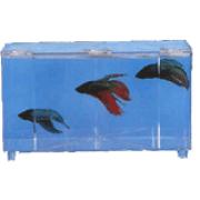 Lee's Tri Plex Betta Tank Best Price