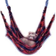 Ferret Leisure Lounge Best Price