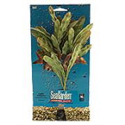 Seagarden Curly Crisps Best Price