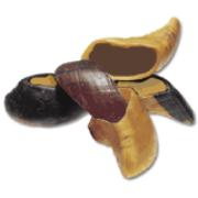 Red Barn Filled Hooves Best Price