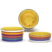 Spot Rainbow Stripe Ceramic Bowls Best Price