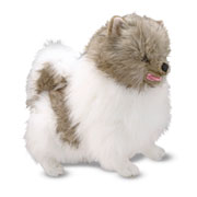Life Like Pomeranian Plush Toy Best Price
