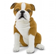 Life Like English Bulldog Plush Toy Best Price