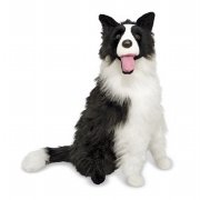 Life Like Border Collie Plush Toy Best Price
