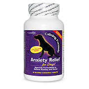 Anxiety Relief for Dogs Best Price
